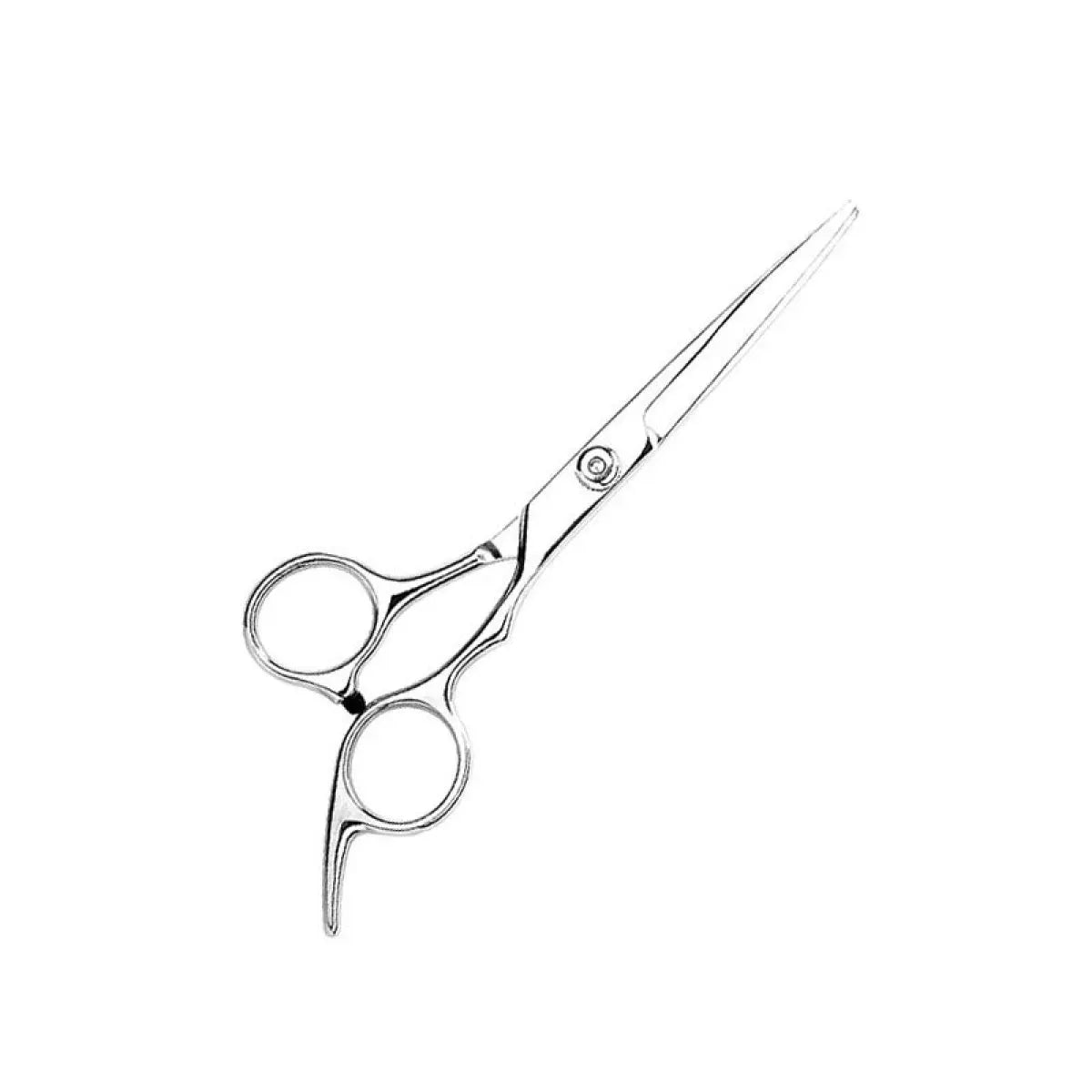 Professional Hair Cutting and Thinning Scissors Set